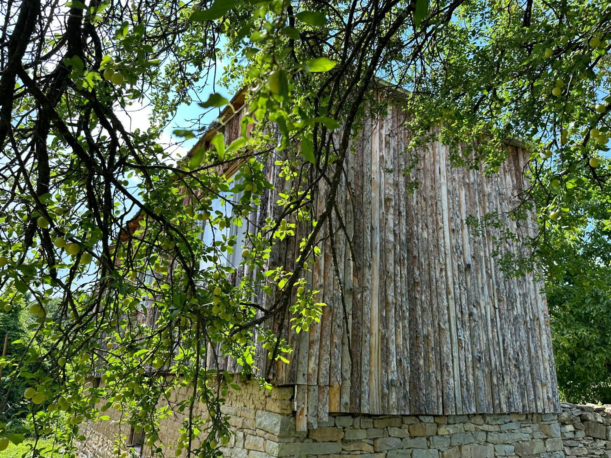 The Centre Villa Stolat Exterior photo